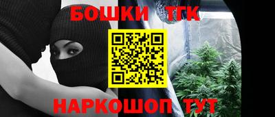 индика Мариинск