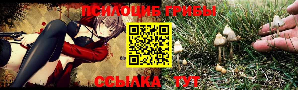 Галлюциногенные грибы GOLDEN TEACHER Чита