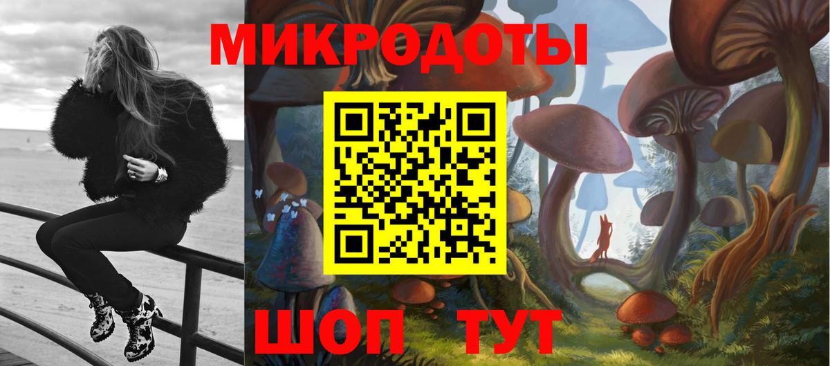 Чита  Галлюциногенные грибы MAGIC MUSHROOMS  Вход с VPN 
